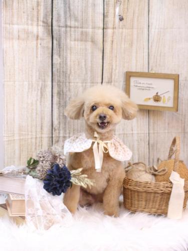 20241015ココアくん